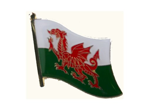 Galles pin distintivo