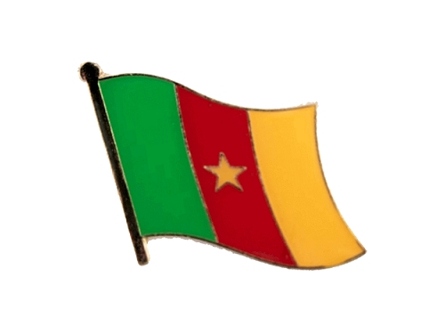 Camerun pin distintivo