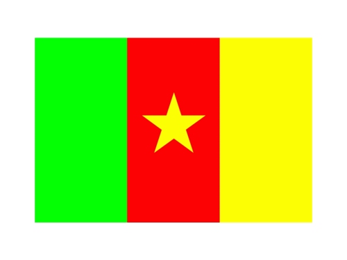 Camerun bandiera